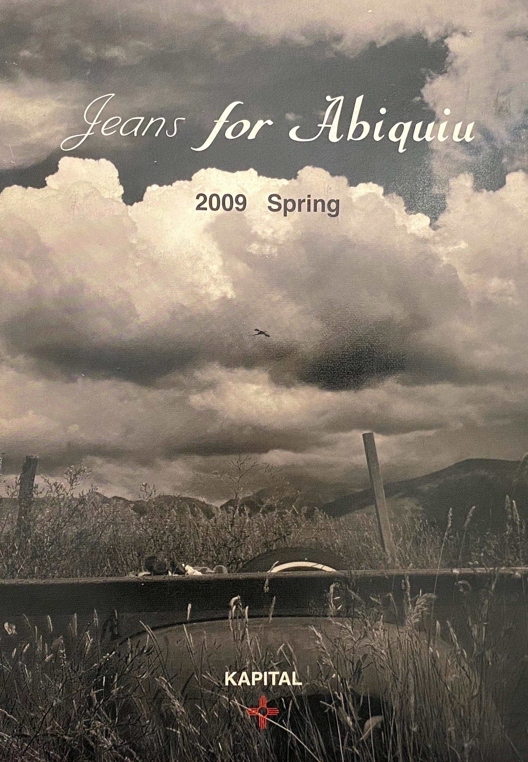 KAPITAL 2009 spring Catalog – caravan