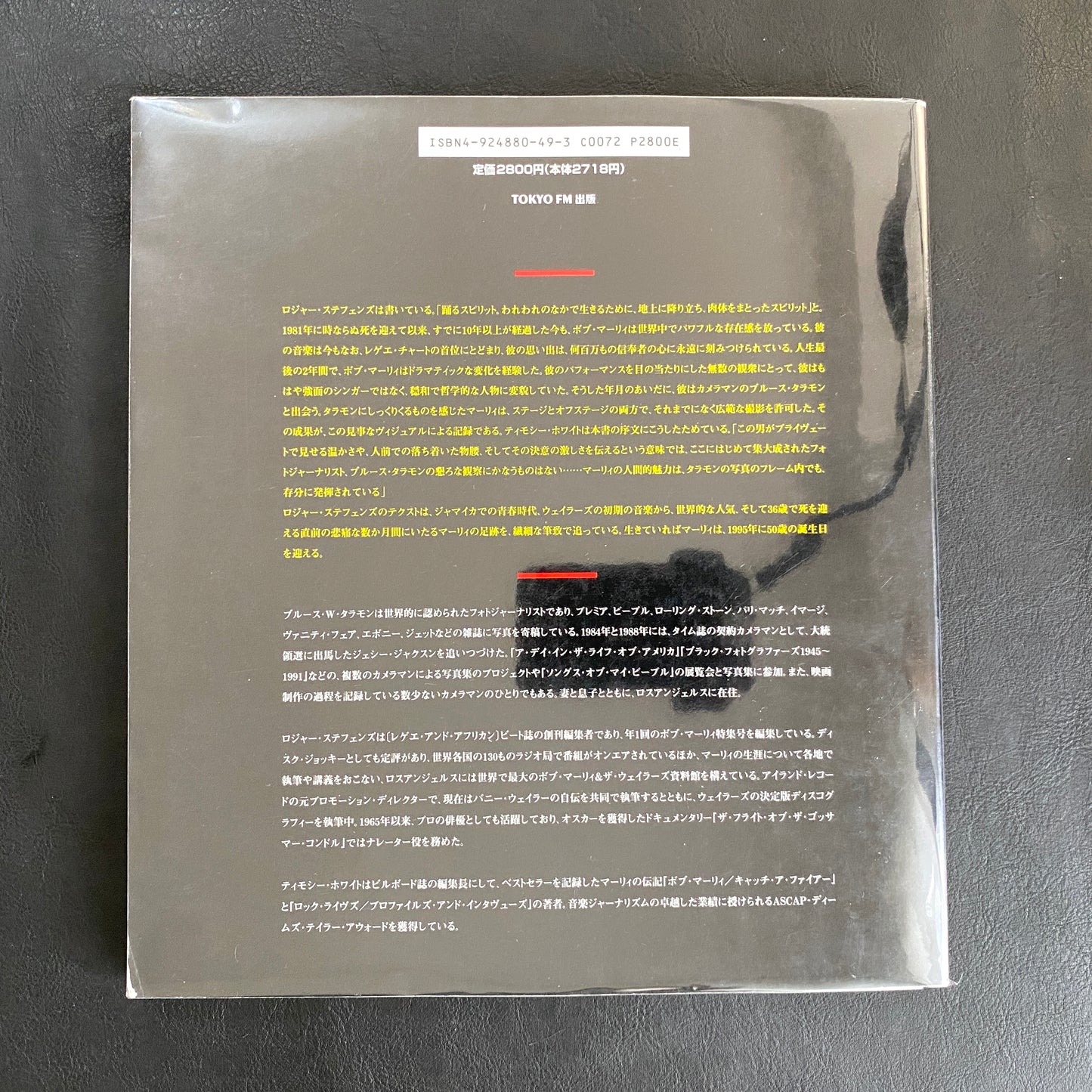 Bob Marley: Spirit Dancer