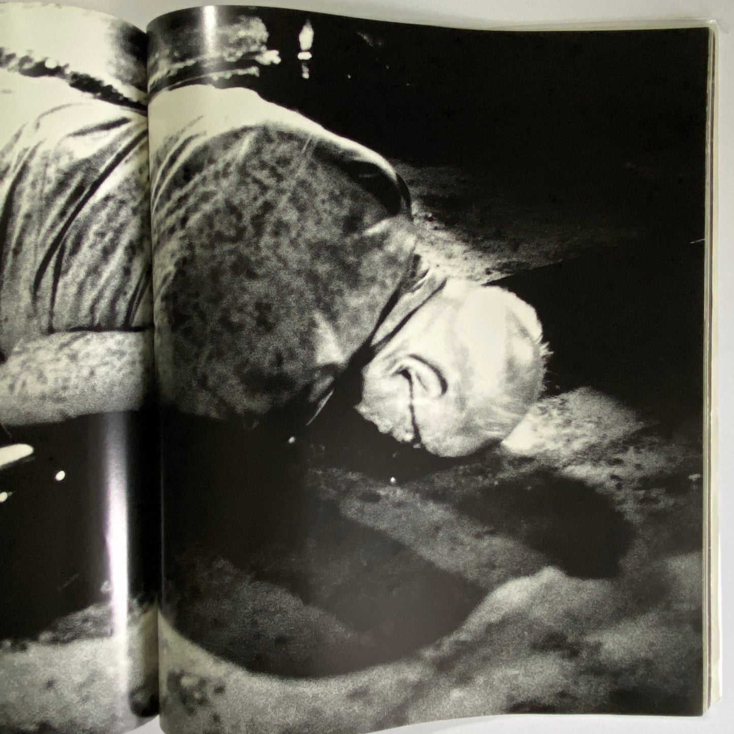 hysteric No. 7 RIVER BED