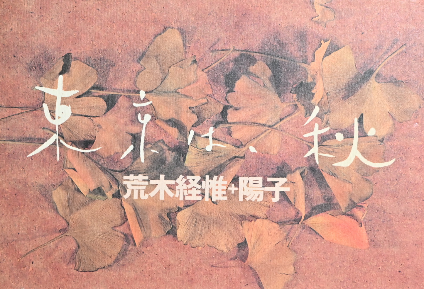 Tokyo, in Autumn