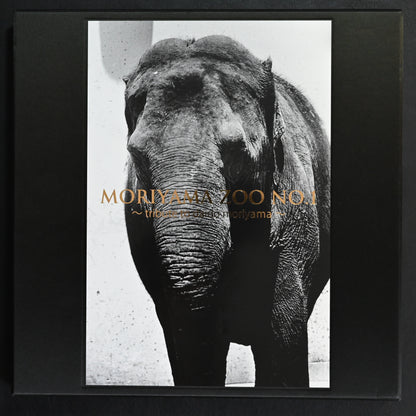 Moriyama Zoo No.1: Tribute to Daido Moriyama