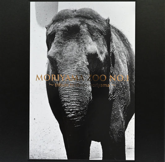 Moriyama Zoo No.1: Tribute to Daido Moriyama