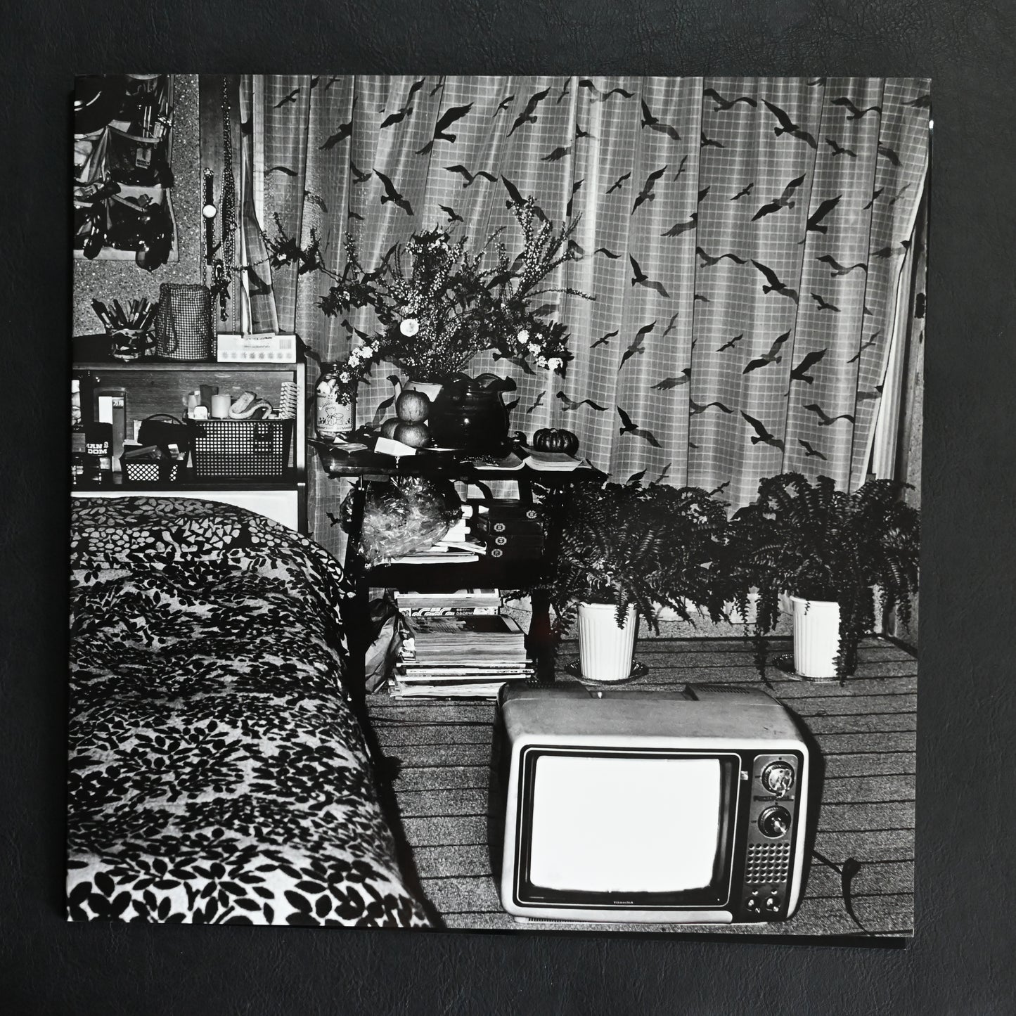 Moriyama Zoo No.1: Tribute to Daido Moriyama