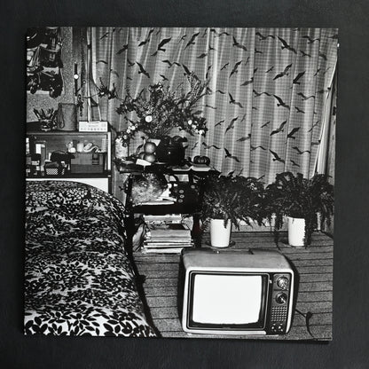 Moriyama Zoo No.1: Tribute to Daido Moriyama