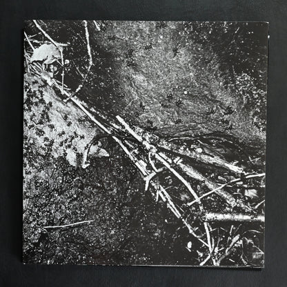 Moriyama Zoo No.1: Tribute to Daido Moriyama