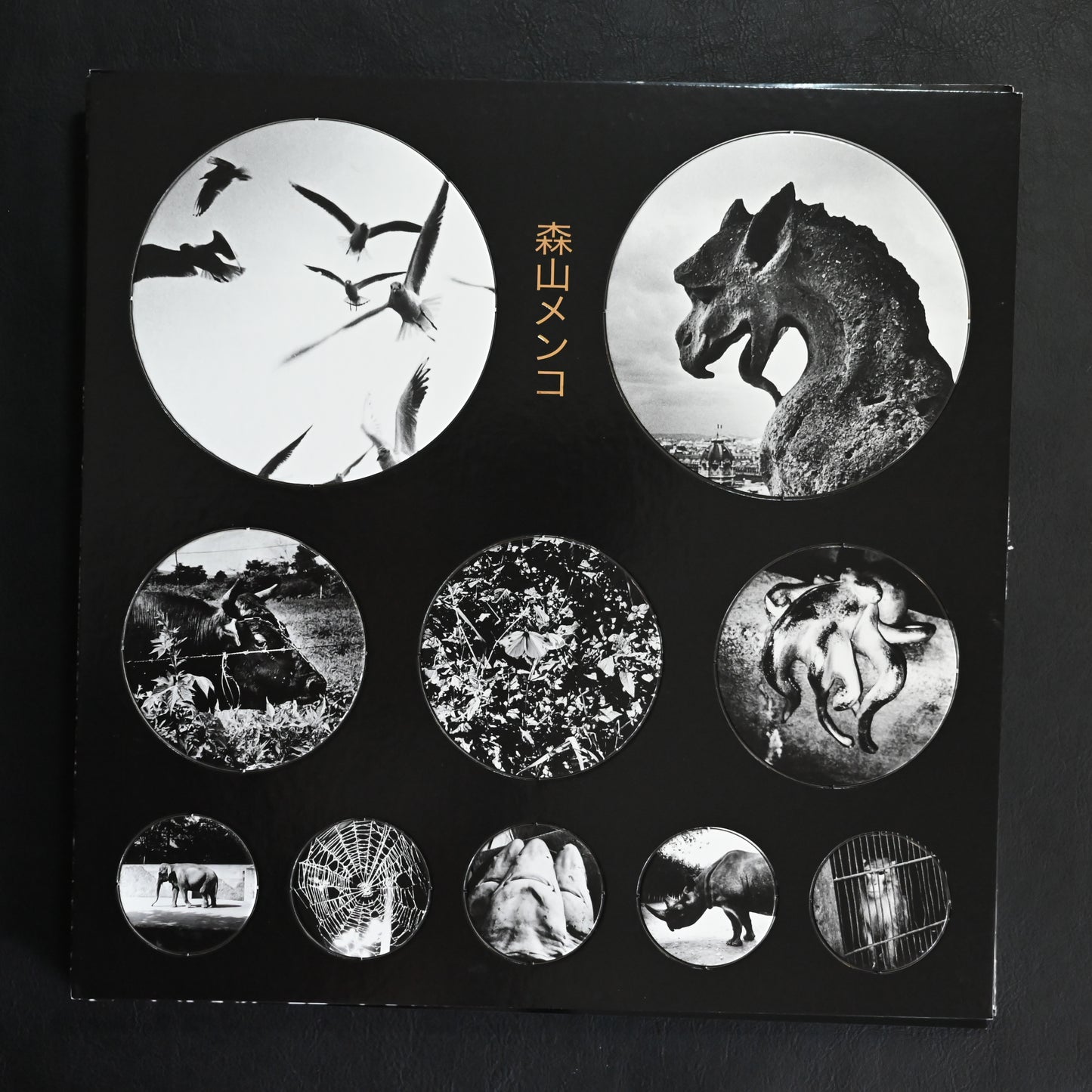 Moriyama Zoo No.1: Tribute to Daido Moriyama
