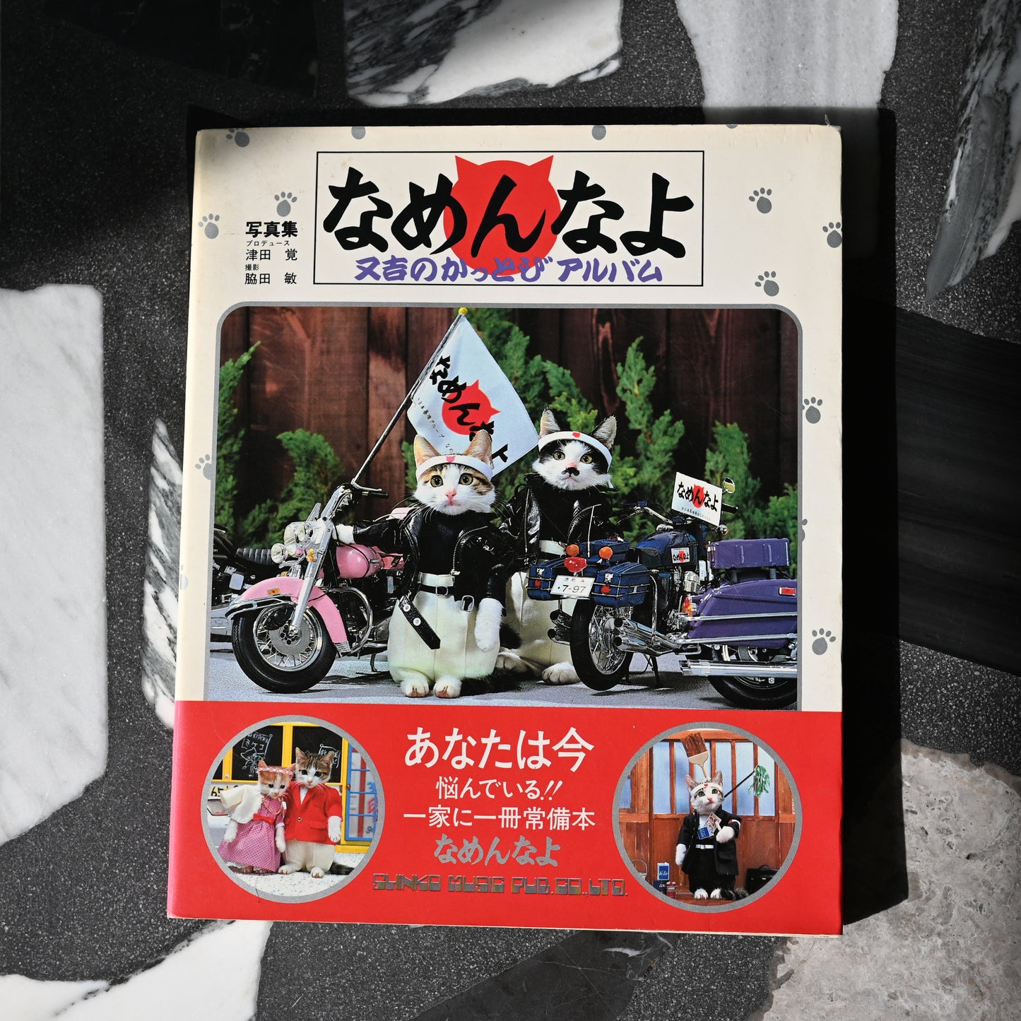 Namennayo Perlorian Cats Photo Book