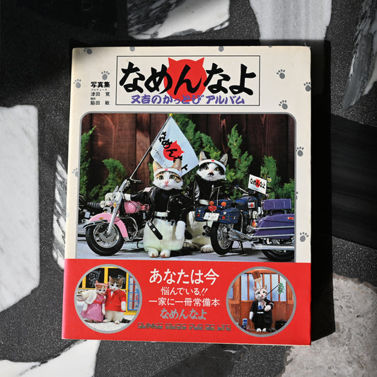 Namennayo Perlorian Cats Photo Book