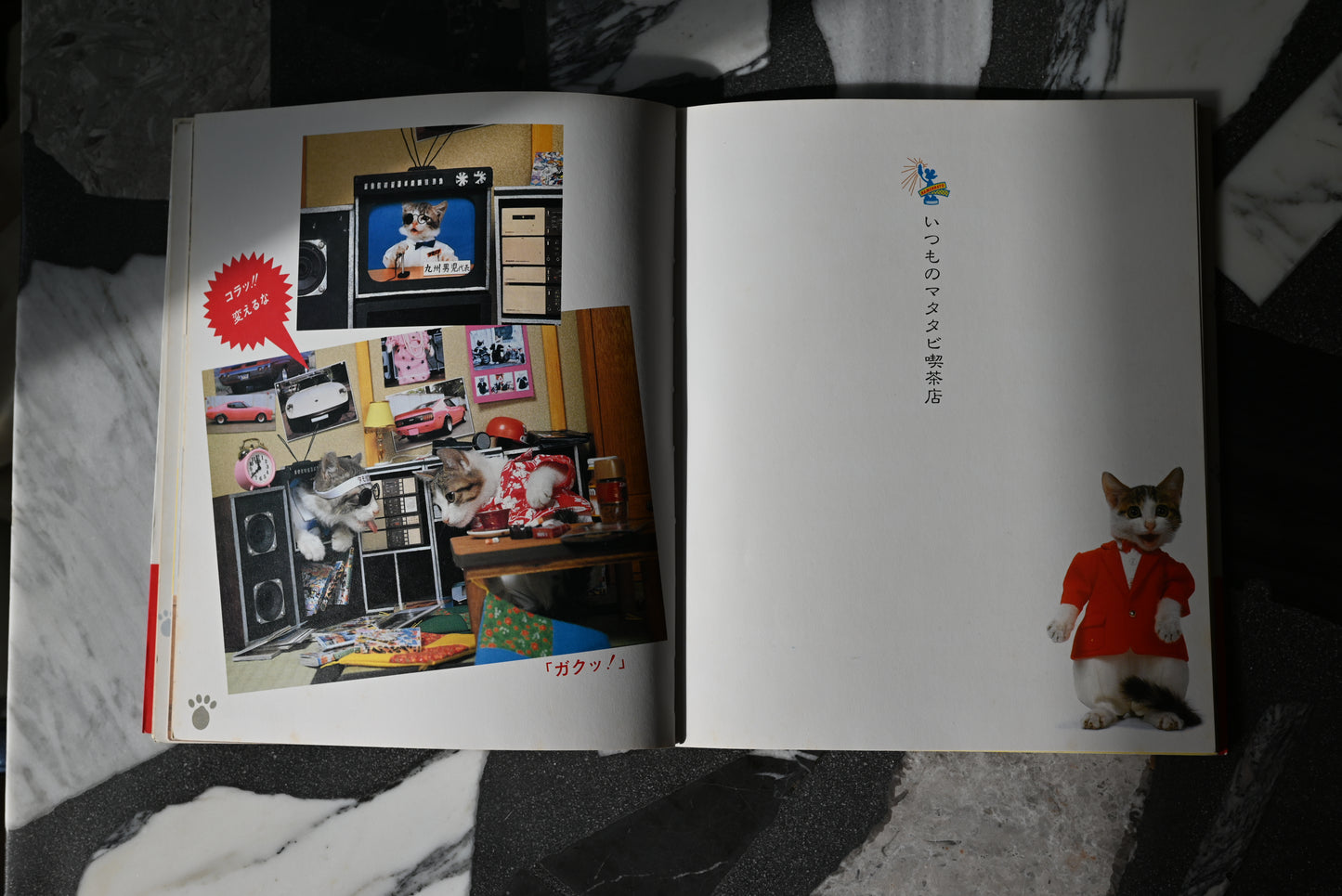 Namennayo Perlorian Cats Photo Book
