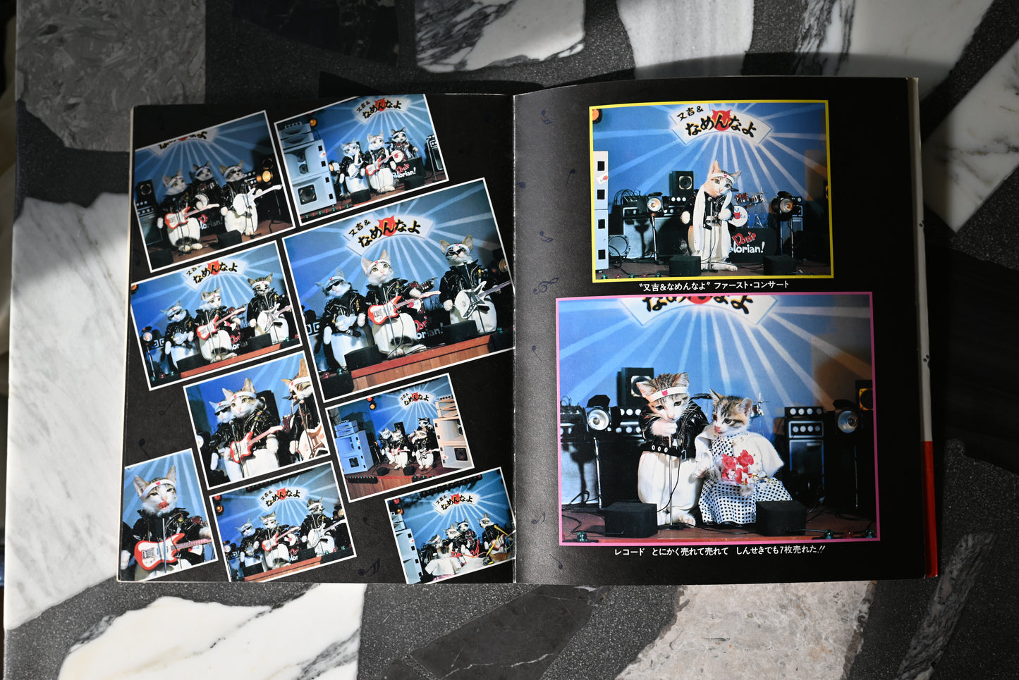 Namennayo Perlorian Cats Photo Book
