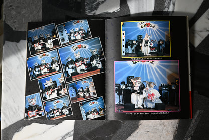 Namennayo Perlorian Cats Photo Book