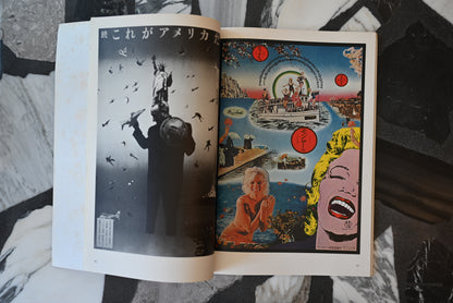 100 posters of Tadanori Yokoo with poster