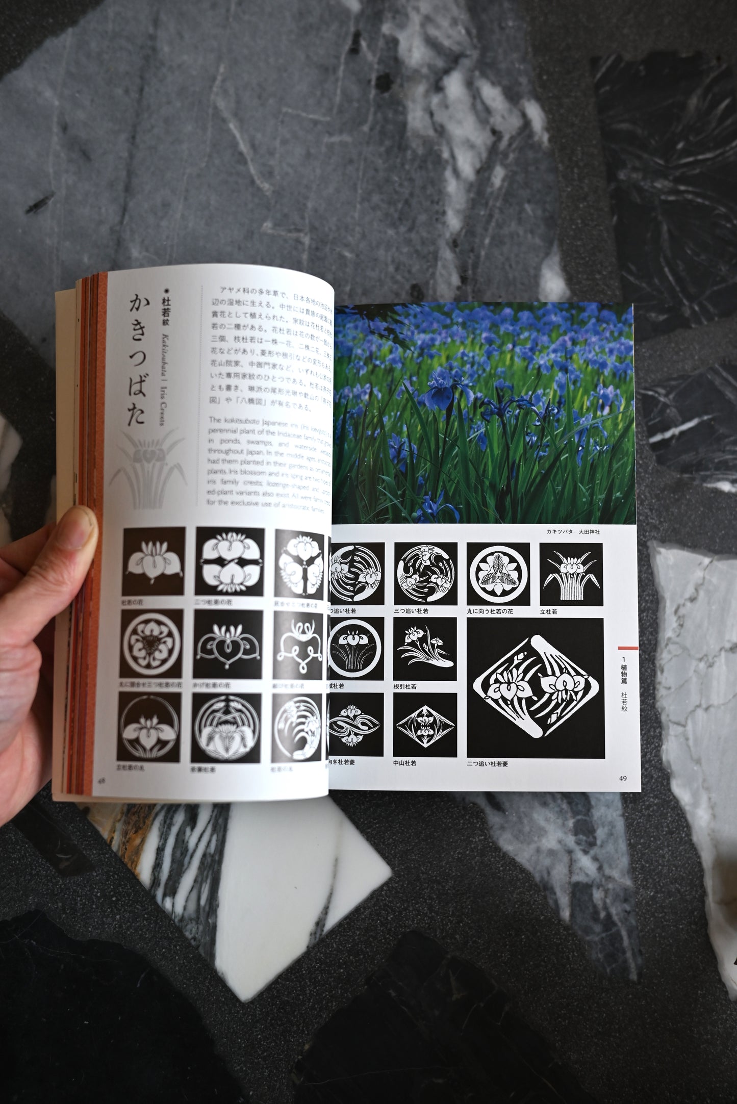 Japanese Family Crests and Design