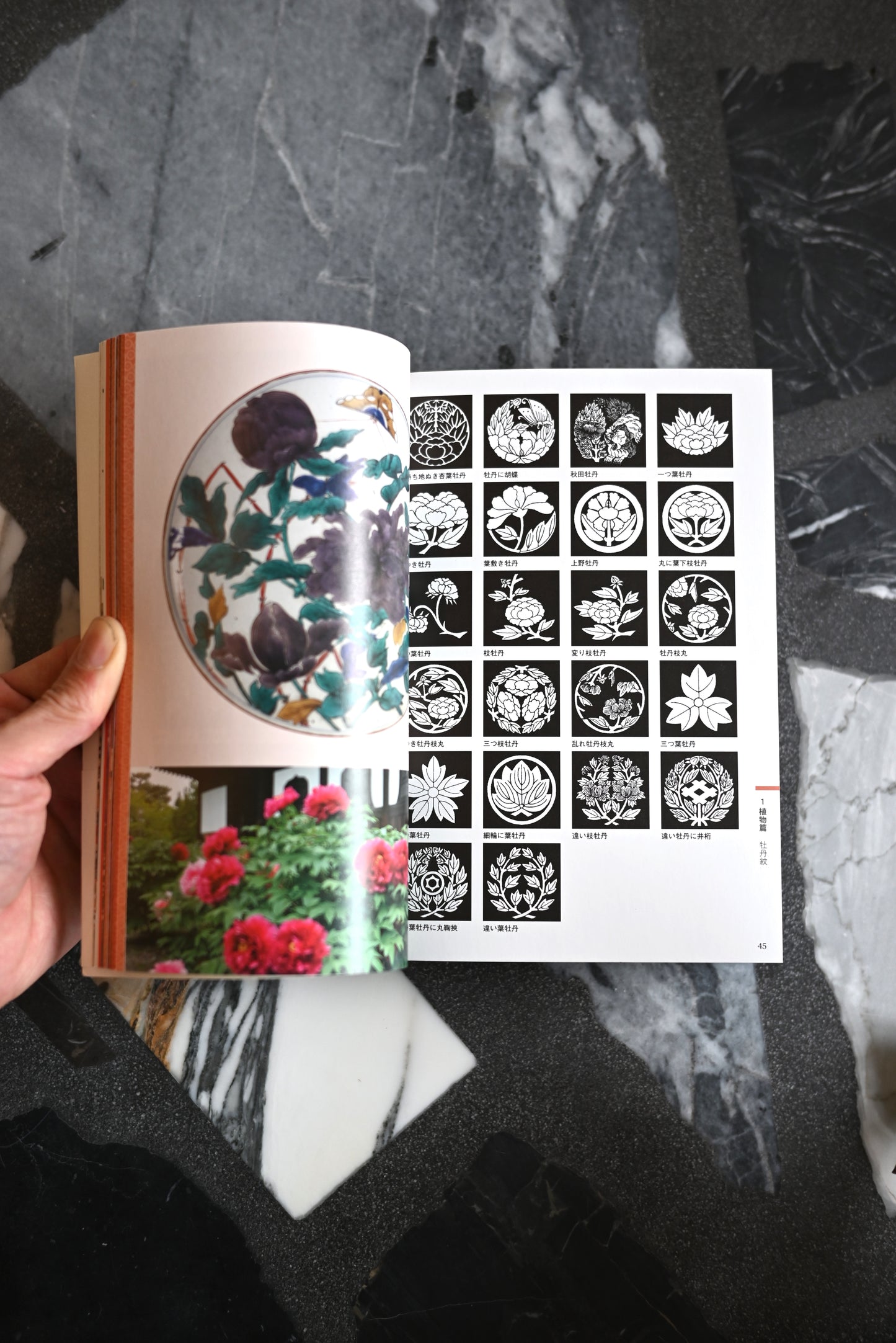 Japanese Family Crests and Design
