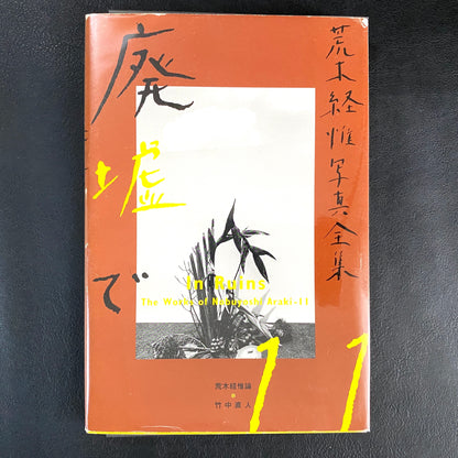 In Ruins The work of Nobuyoshi Araki 11