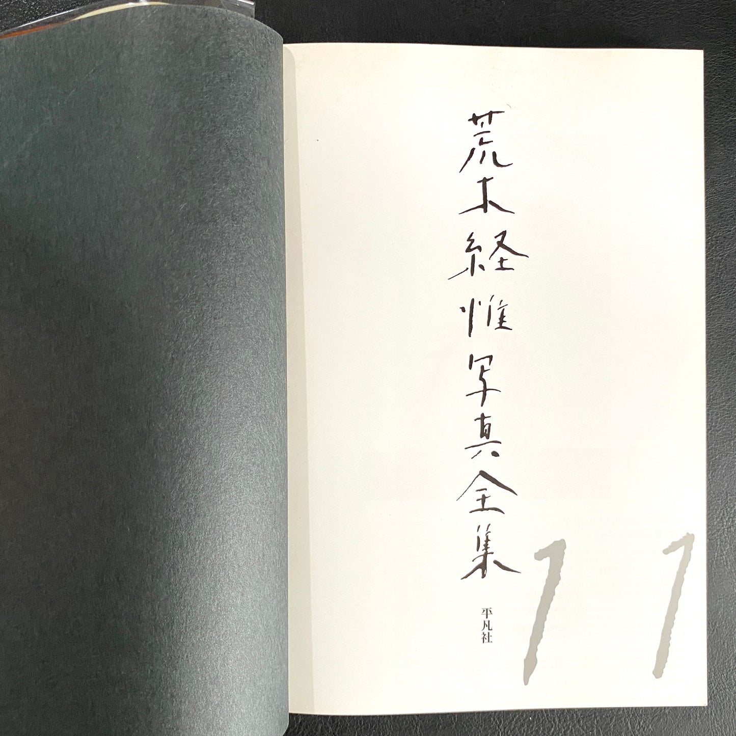 In Ruins The work of Nobuyoshi Araki 11