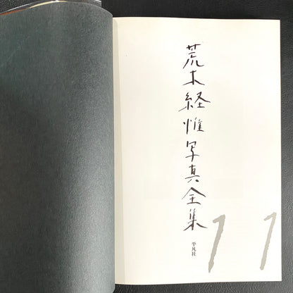 In Ruins The work of Nobuyoshi Araki 11