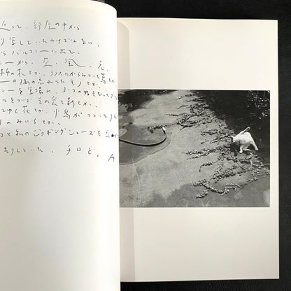 In Ruins The work of Nobuyoshi Araki 11