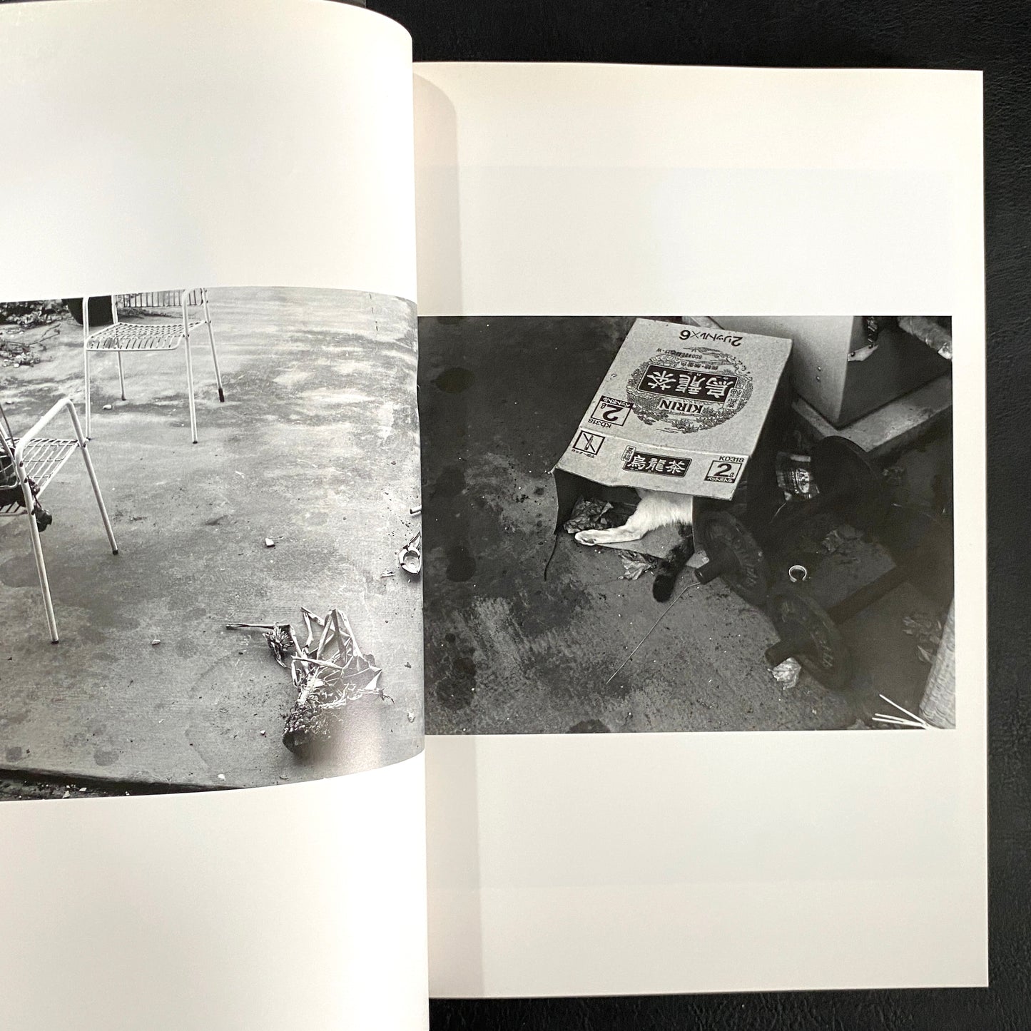 In Ruins The work of Nobuyoshi Araki 11
