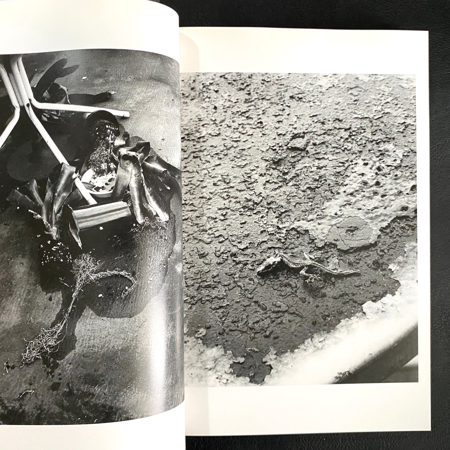 In Ruins The work of Nobuyoshi Araki 11