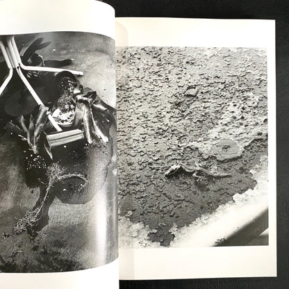 In Ruins The work of Nobuyoshi Araki 11