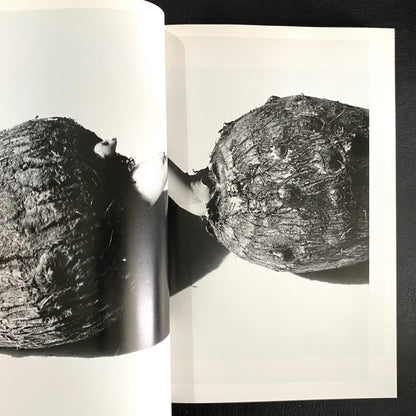 In Ruins The work of Nobuyoshi Araki 11