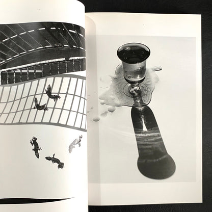 In Ruins The work of Nobuyoshi Araki 11