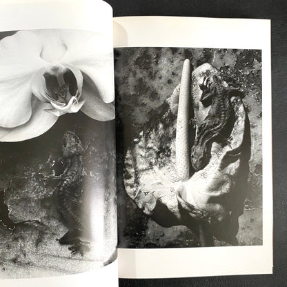 In Ruins The work of Nobuyoshi Araki 11
