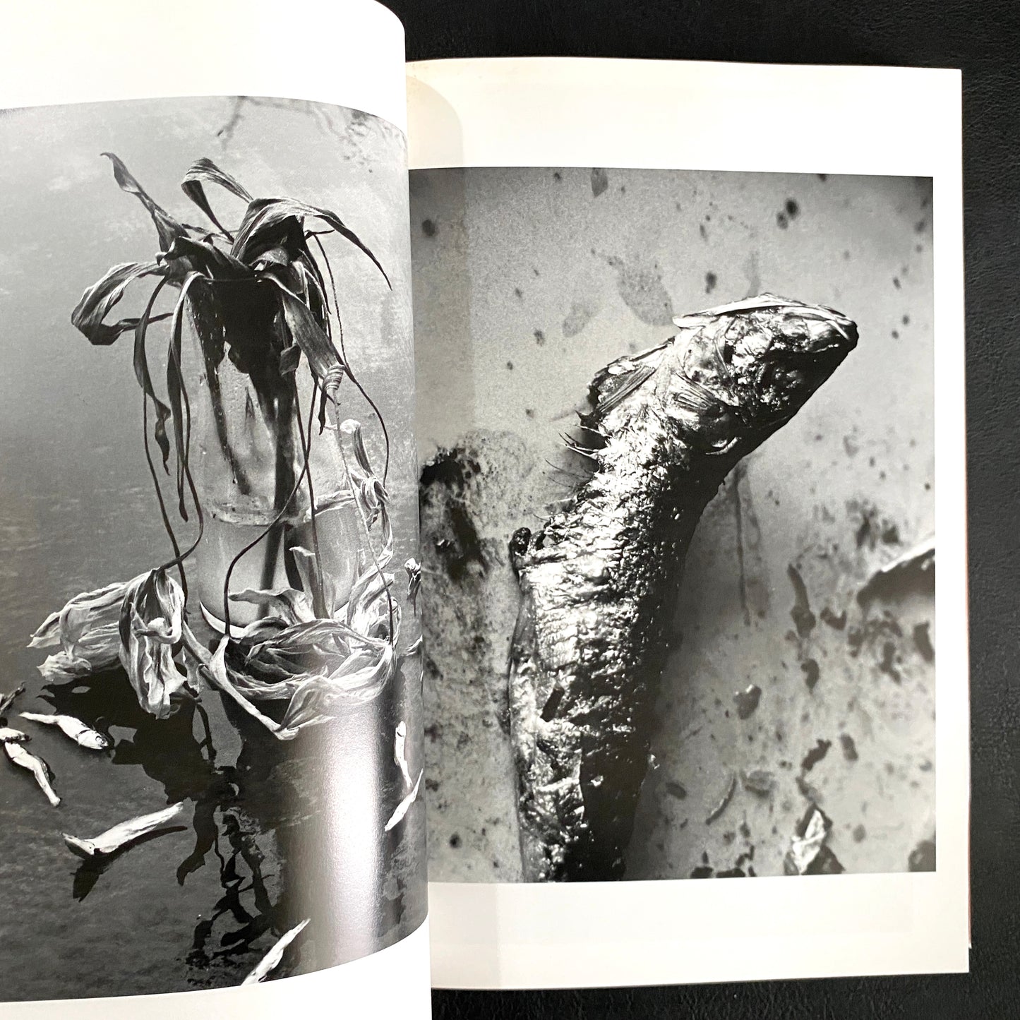 In Ruins The work of Nobuyoshi Araki 11