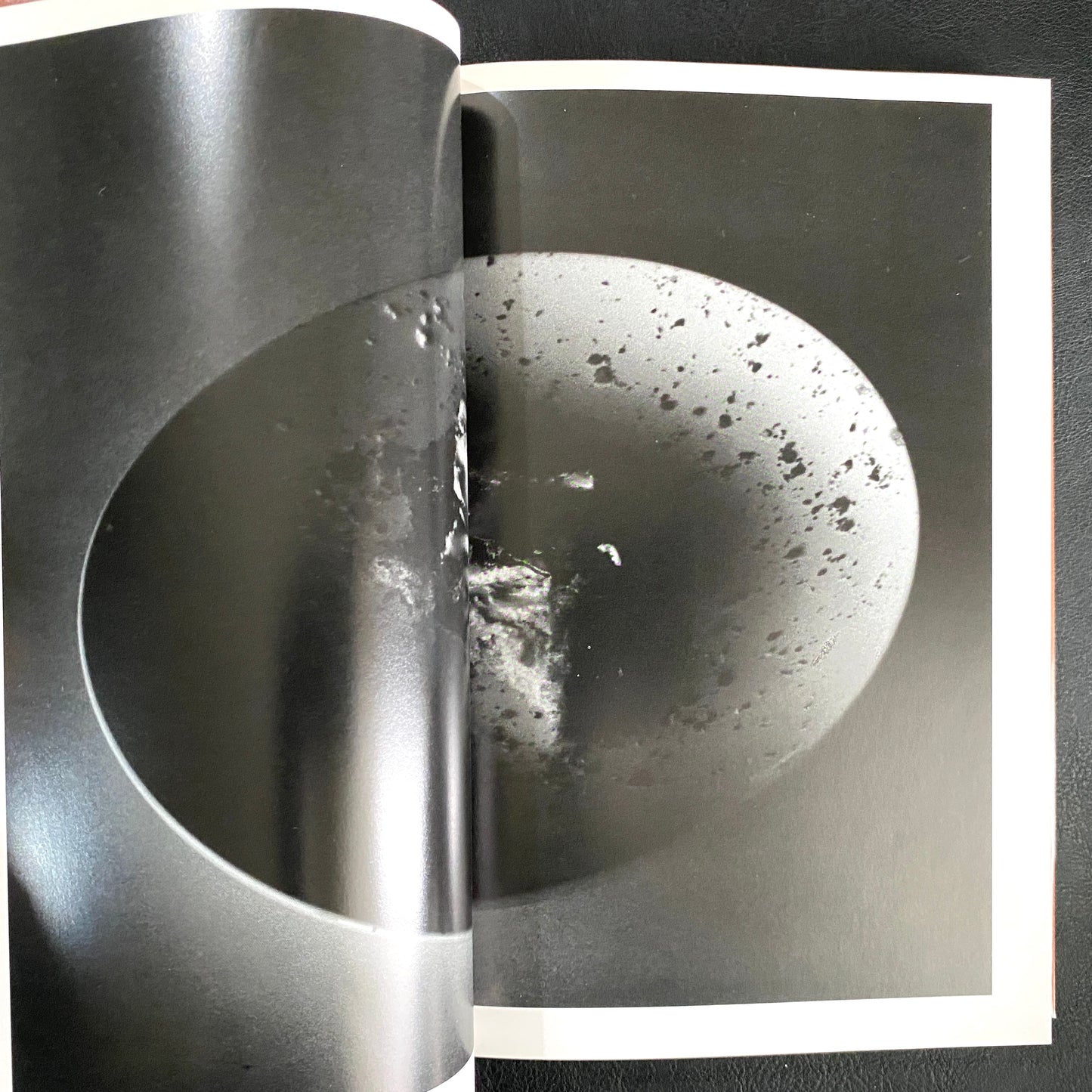 In Ruins The work of Nobuyoshi Araki 11