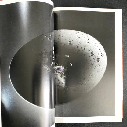 In Ruins The work of Nobuyoshi Araki 11