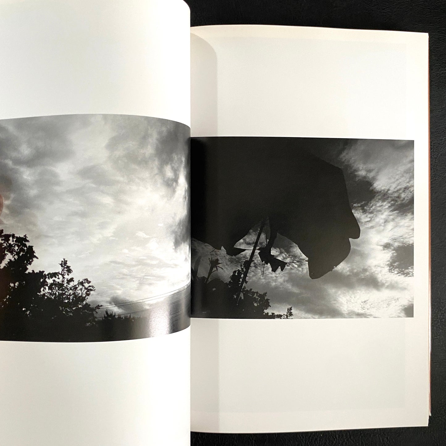 In Ruins The work of Nobuyoshi Araki 11