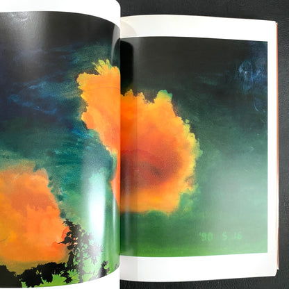 In Ruins The work of Nobuyoshi Araki 11