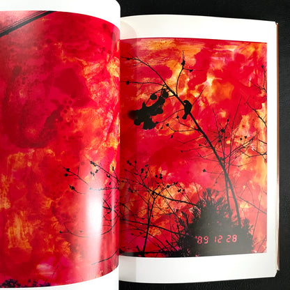 In Ruins The work of Nobuyoshi Araki 11