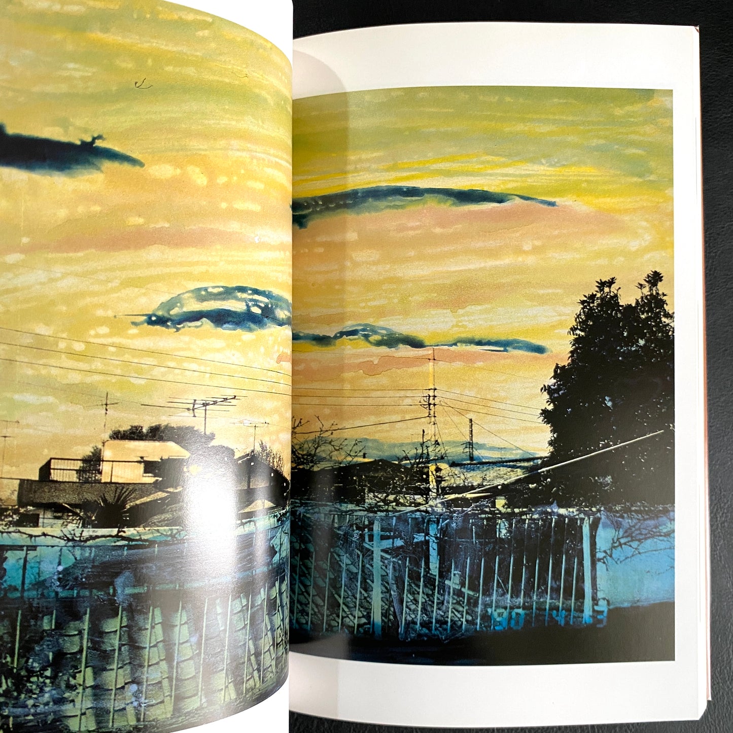 In Ruins The work of Nobuyoshi Araki 11