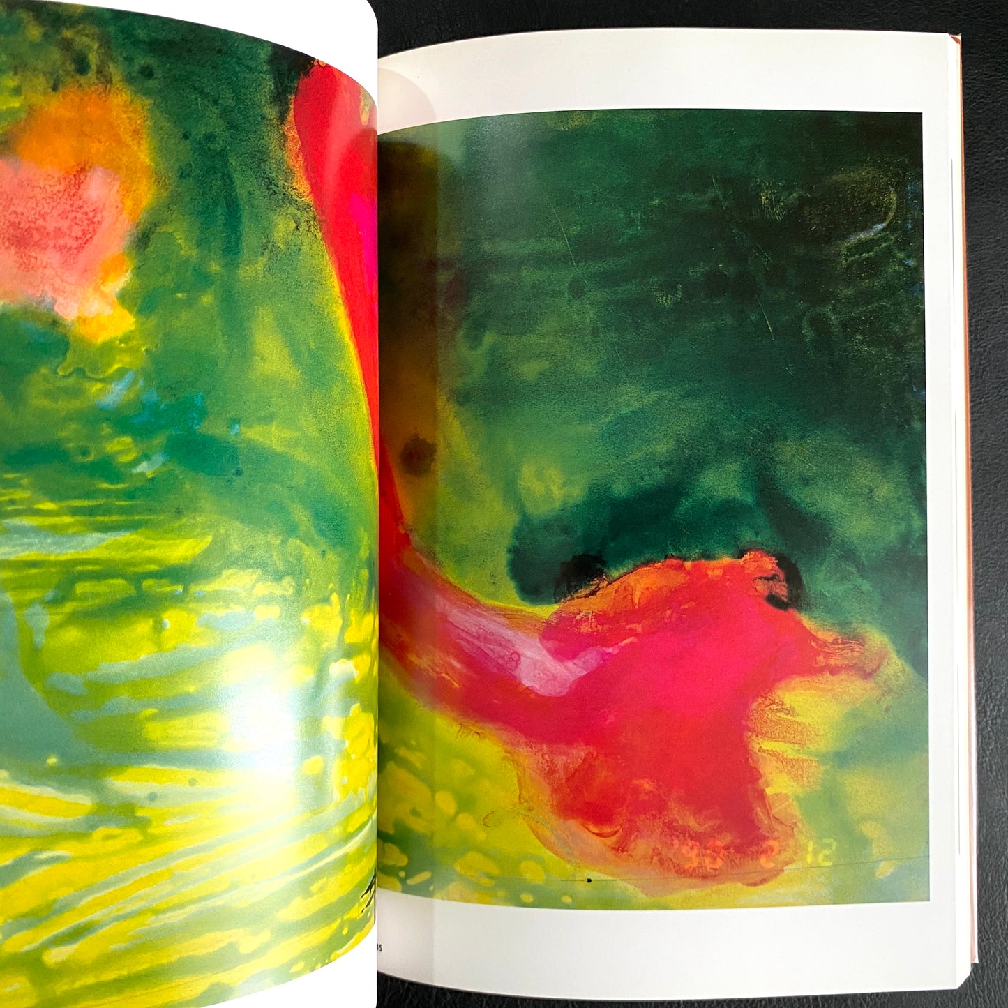 In Ruins The work of Nobuyoshi Araki 11