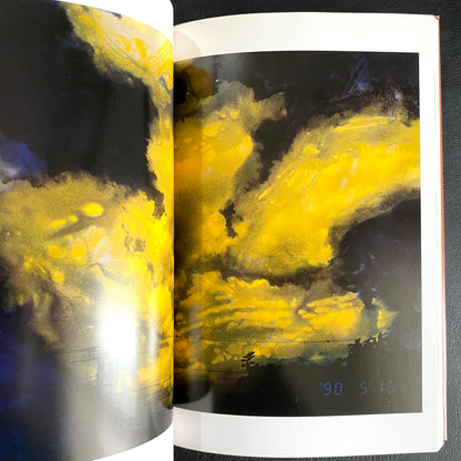 In Ruins The work of Nobuyoshi Araki 11