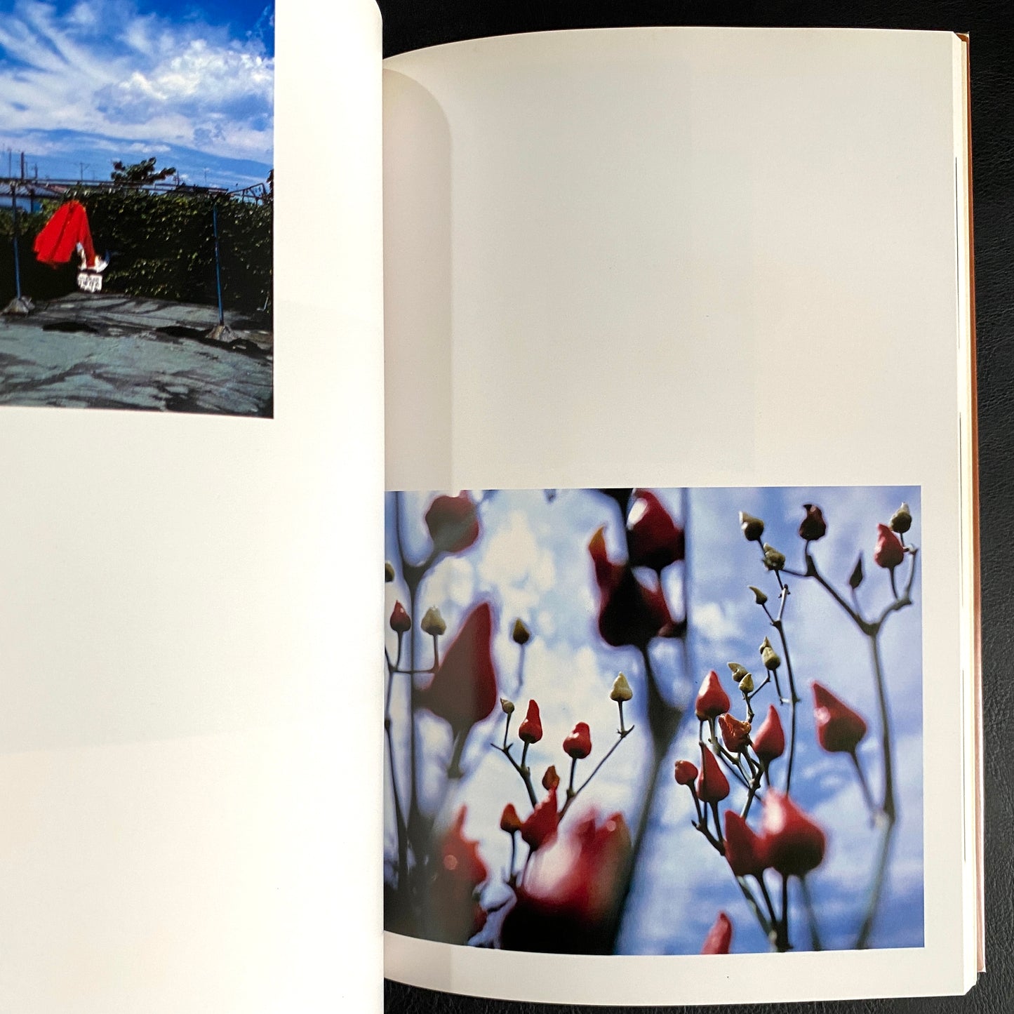 In Ruins The work of Nobuyoshi Araki 11