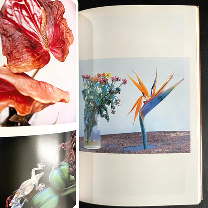 In Ruins The work of Nobuyoshi Araki 11