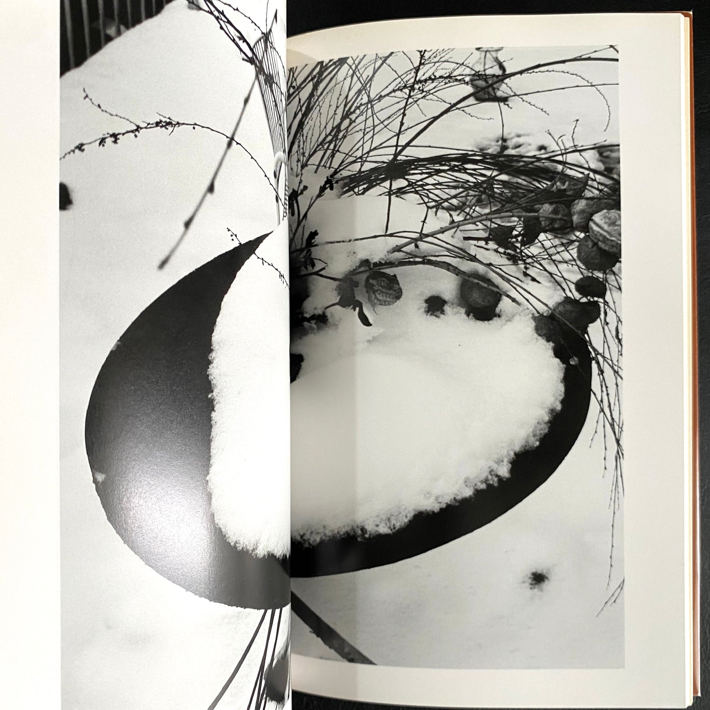 In Ruins The work of Nobuyoshi Araki 11