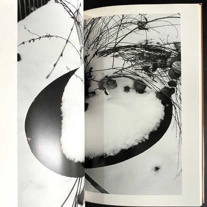In Ruins The work of Nobuyoshi Araki 11