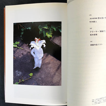 In Ruins The work of Nobuyoshi Araki 11
