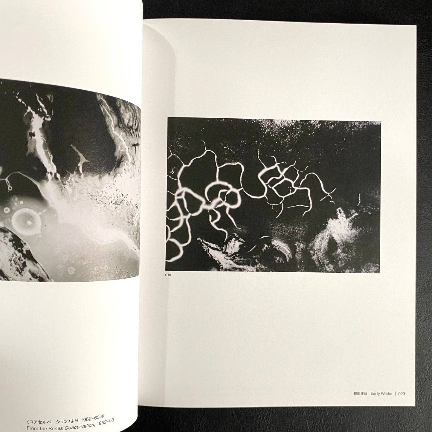 Another World Unveiled