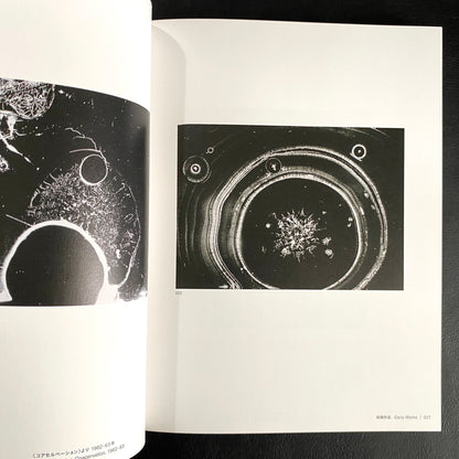 Another World Unveiled