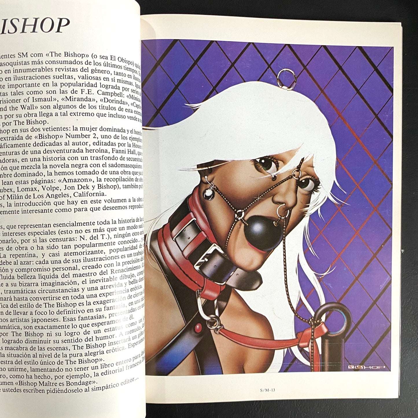 SM•4 - The Illustrators of Pain 2