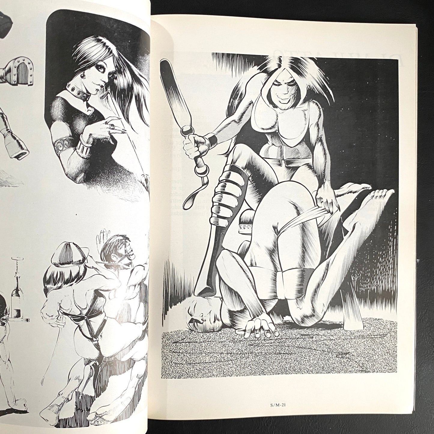 SM•4 - The Illustrators of Pain 2