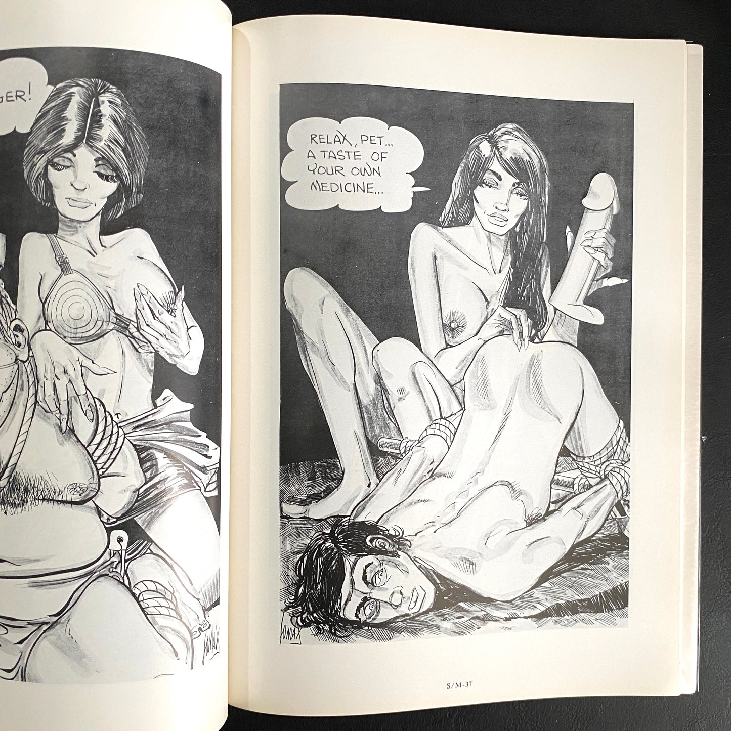 SM•4 - The Illustrators of Pain 2