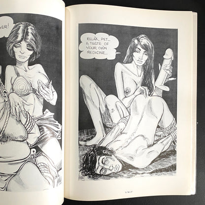 SM•4 - The Illustrators of Pain 2