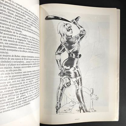 SM•4 - The Illustrators of Pain 2