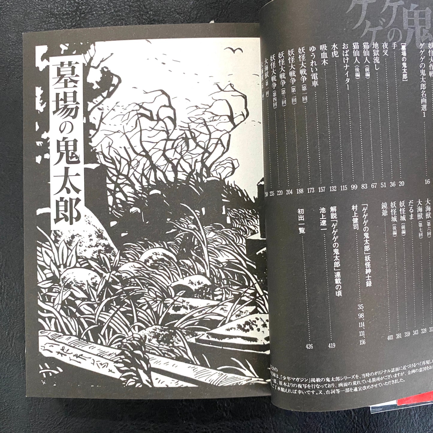 Gegege no Kitaro (1)